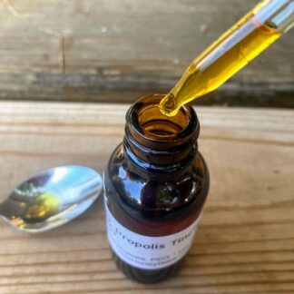 propolis tincture bottle