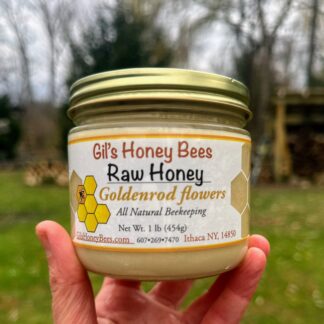 light cream crystallized goldenrod honey jar