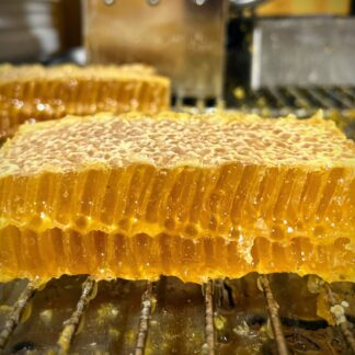 Raw comb honey. Natural honeycomb filled with pure honey. 6-8oz