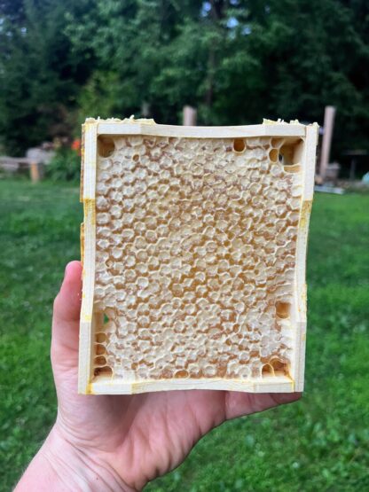 Raw Honeycomb in Wooden Frame – Plastic-Free Finger Lakes Comb Honey (10–18oz) - Image 2