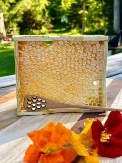 honeycomb section