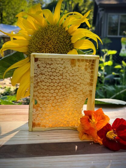 raw honeycomb section