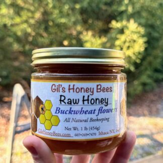 Buckwheat honey 1 lb jar