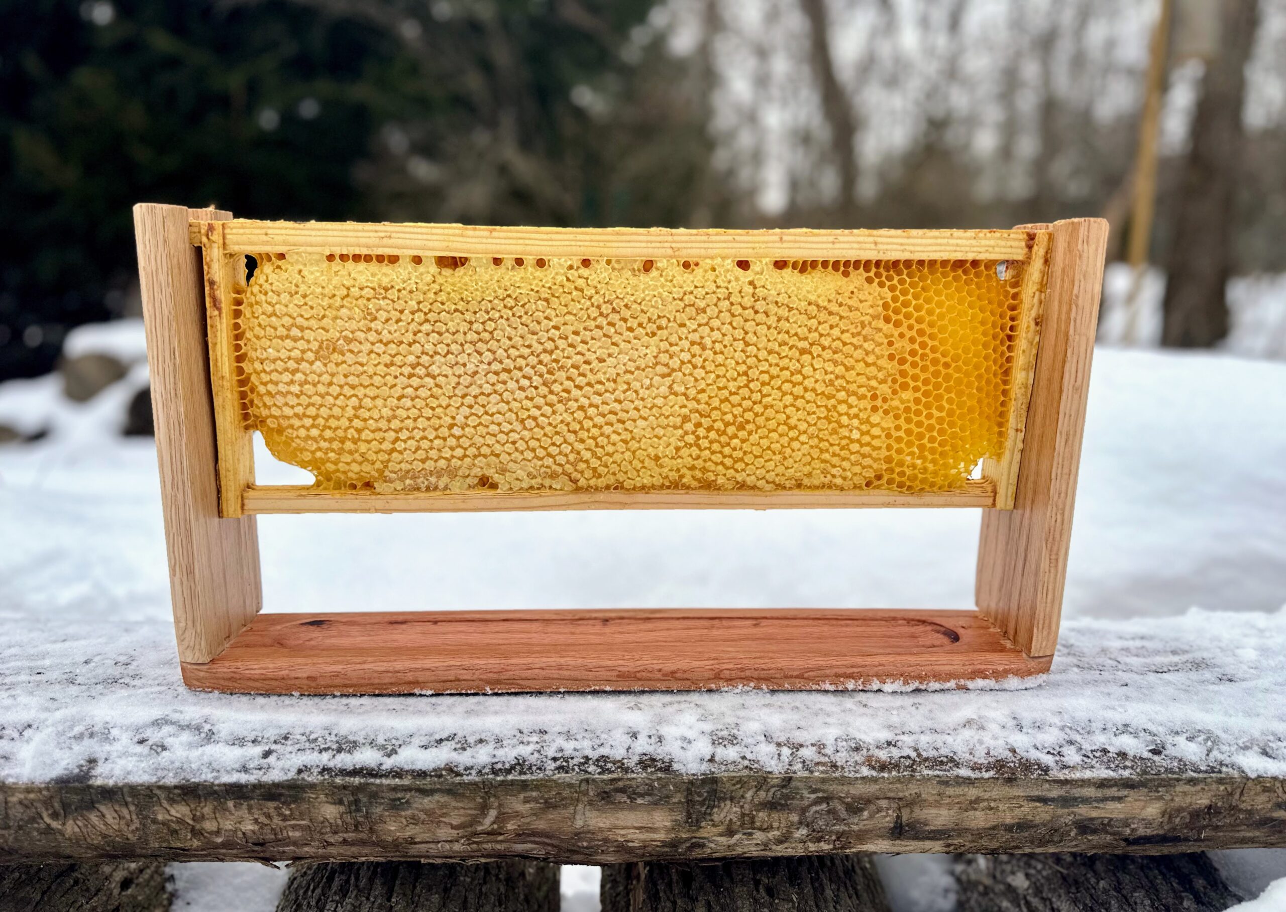 Display stand for a full honeycomb frame - Image 5