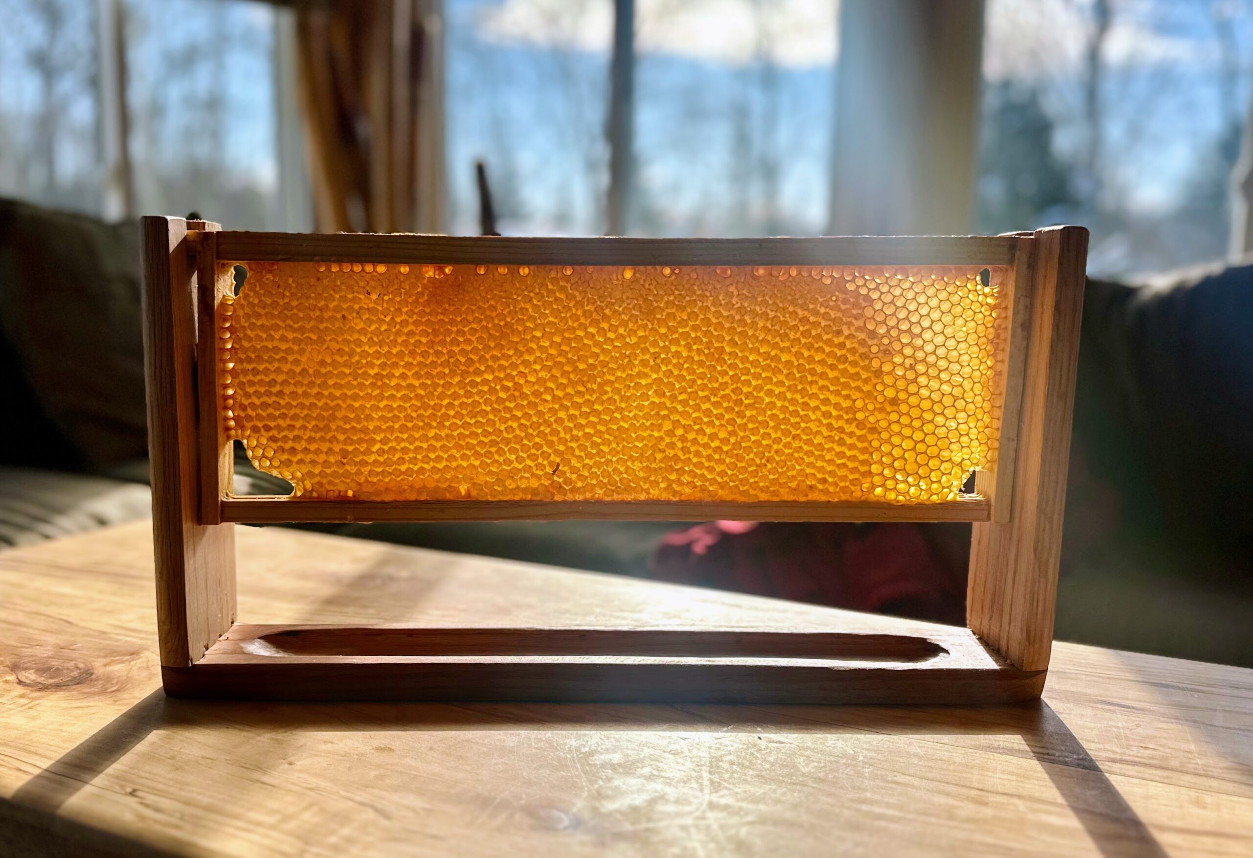 Display stand for a full honeycomb frame - Image 3