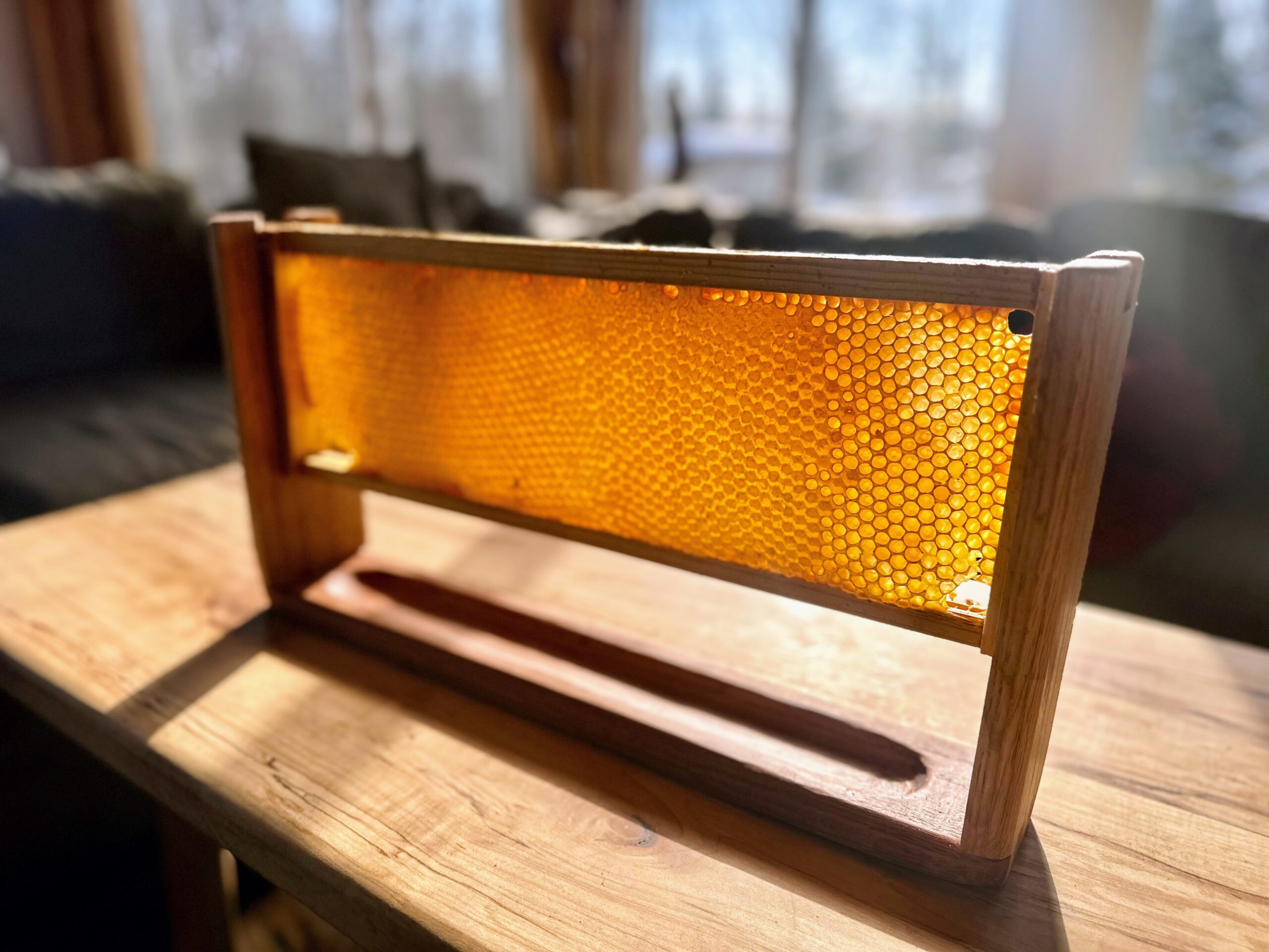 honeycomb display stand